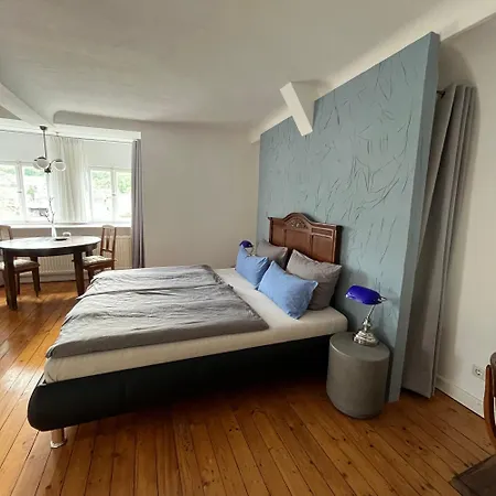 Haus E 招待所 摩泽尔河畔的泽尔