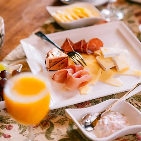 Haus E 招待所 摩泽尔河畔的泽尔