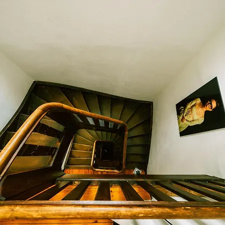 Haus E 招待所 摩泽尔河畔的泽尔