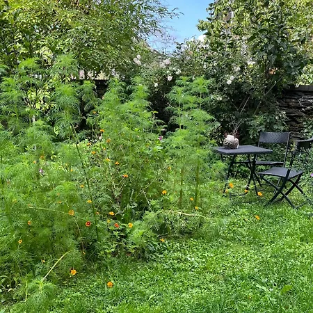 Haus E Casa de hóspedes Zell an der Mosel