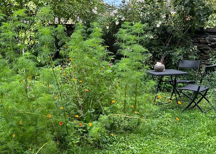 Haus E Pensjonat Zell an der Mosel